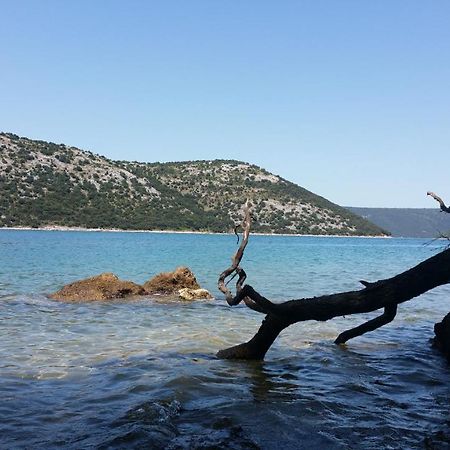 Laura Διαμέρισμα Koromačno Εξωτερικό φωτογραφία